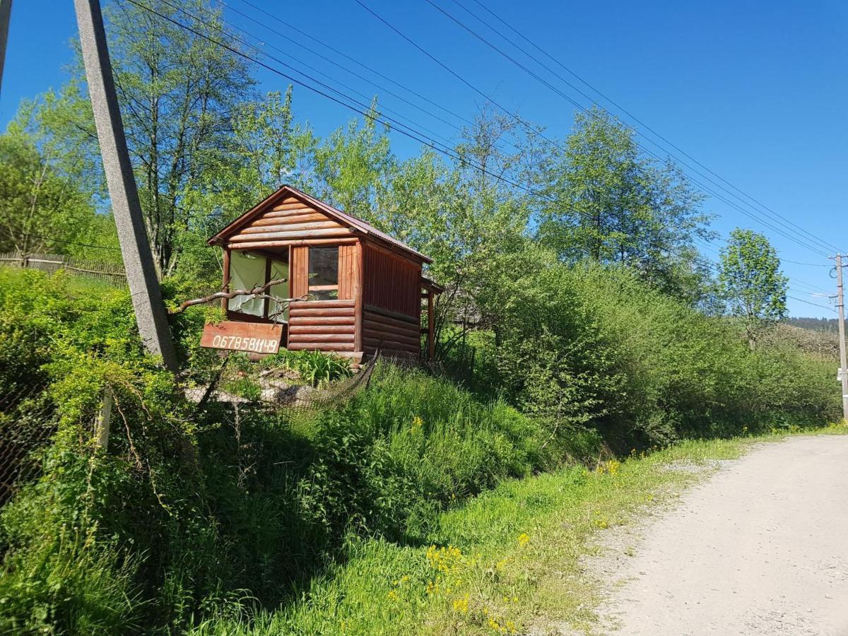 Apartamento Карпатський Будинок Izky Exterior foto